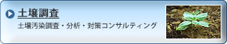 �y�뒲��